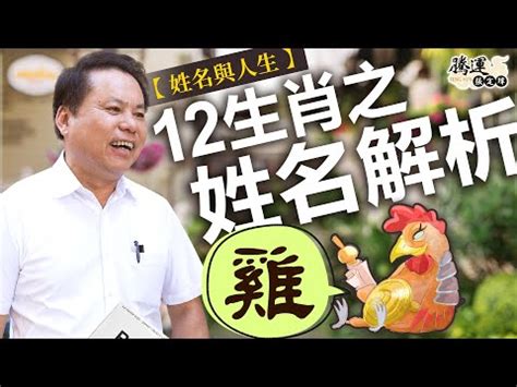 屬雞適合的名字|生肖姓名學－生肖屬雞特性、喜忌及喜用字庫－芷蘭老師~卜卦、。